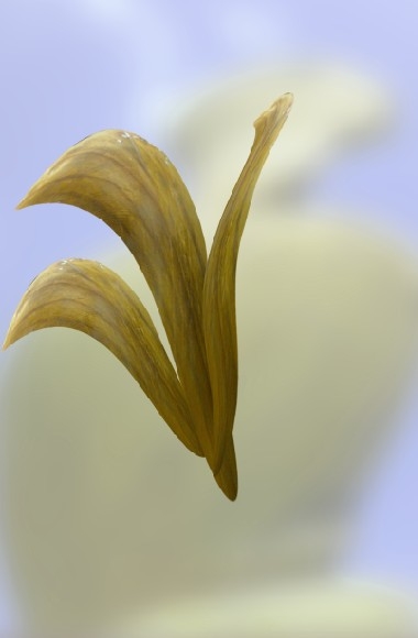 Creation of Wooden flower: Step 2